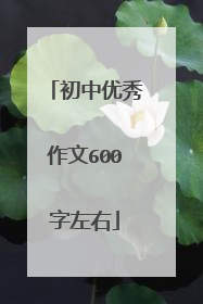 初中优秀作文600字左右