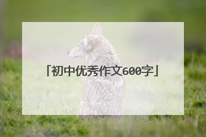 初中优秀作文600字