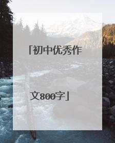 初中优秀作文800字