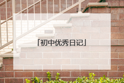 初中优秀日记