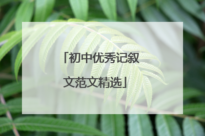 初中优秀记叙文范文精选