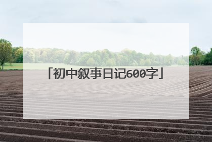 初中叙事日记600字