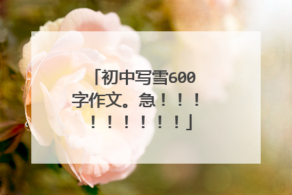 初中写雪600字作文。急!!!!!!!!!