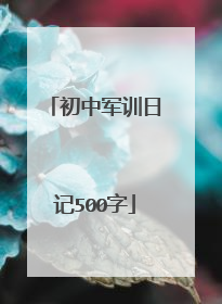 初中军训日记500字