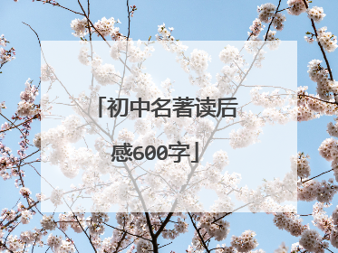 初中名著读后感600字