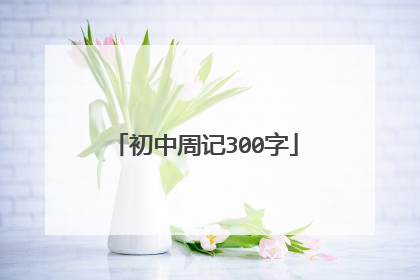 初中周记300字