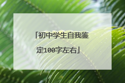 初中学生自我鉴定100字左右