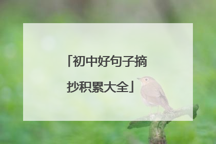 初中好句子摘抄积累大全