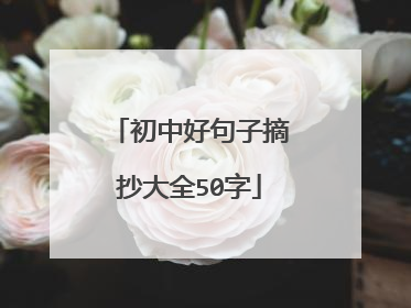 初中好句子摘抄大全50字