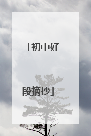 初中好段摘抄