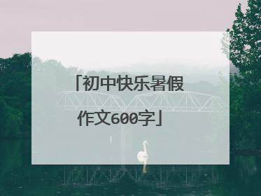 初中快乐暑假作文600字