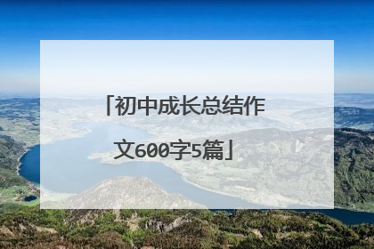 初中成长总结作文600字5篇