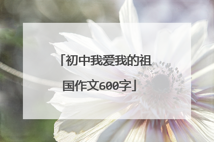 初中我爱我的祖国作文600字