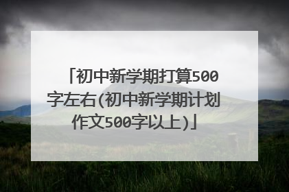 初中新学期打算500字左右(初中新学期计划作文500字以上)