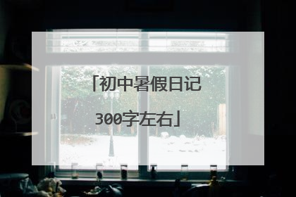 初中暑假日记300字左右