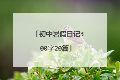 初中暑假日记300字20篇