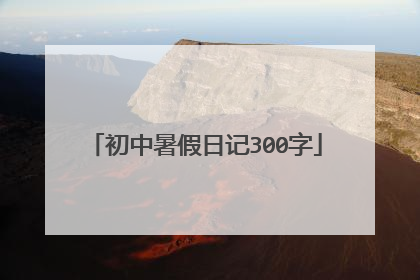 初中暑假日记300字