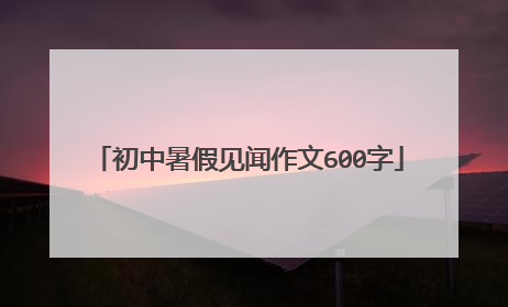 初中暑假见闻作文600字