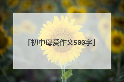 初中母爱作文500字
