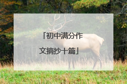 初中满分作文摘抄十篇