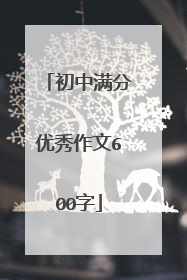 初中满分优秀作文600字