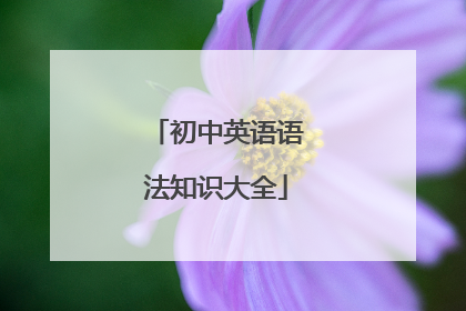 初中英语语法知识大全