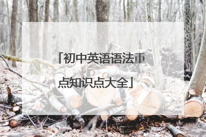 初中英语语法重点知识点大全