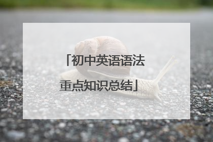 初中英语语法重点知识总结