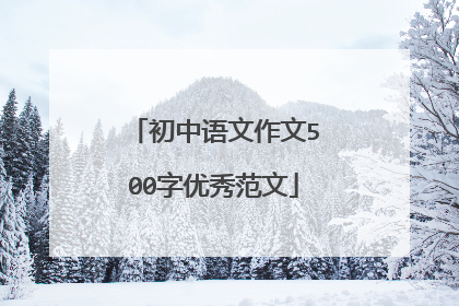 初中语文作文500字优秀范文