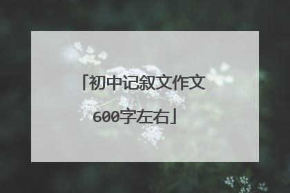 初中记叙文作文600字左右