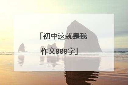 初中这就是我作文800字