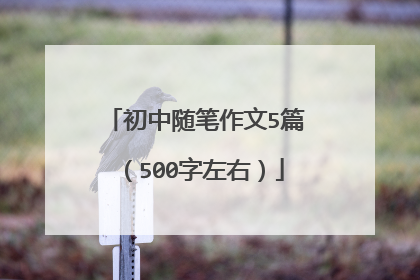 初中随笔作文5篇（500字左右）