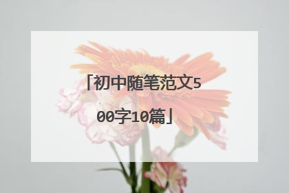 初中随笔范文500字10篇