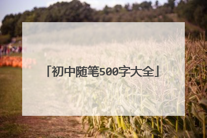 初中随笔500字大全