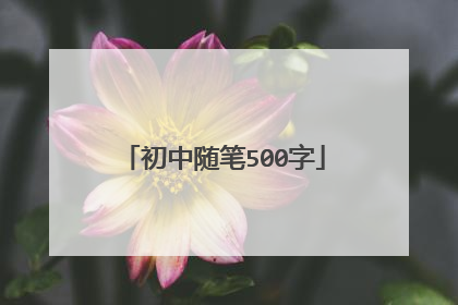 初中随笔500字