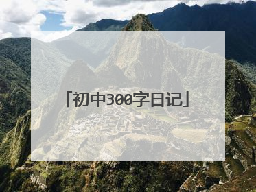 初中300字日记