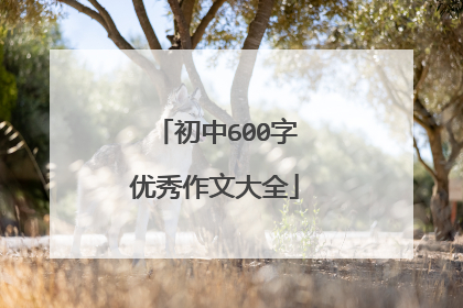 初中600字优秀作文大全