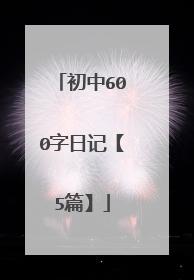 初中600字日记【5篇】