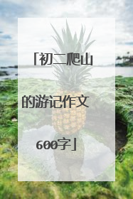 初二爬山的游记作文600字