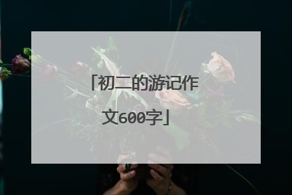 初二的游记作文600字
