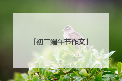 初二端午节作文