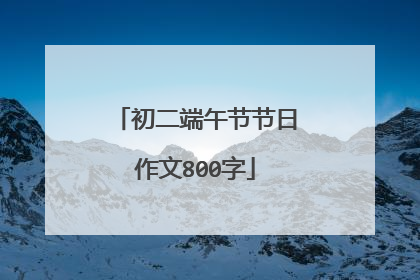 初二端午节节日作文800字