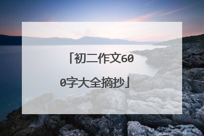 初二作文600字大全摘抄