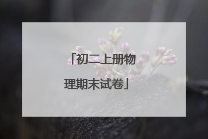 初二上册物理期末试卷