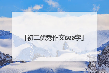 初二优秀作文600字