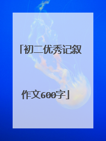 初二优秀记叙作文600字