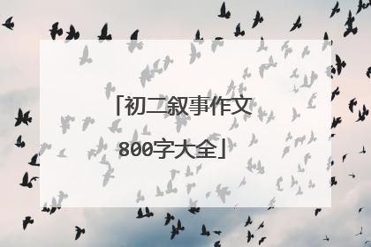 初二叙事作文800字大全