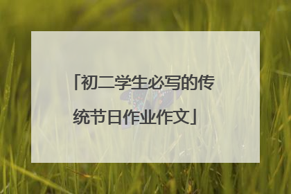 初二学生必写的传统节日作业作文