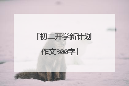 初二开学新计划作文300字