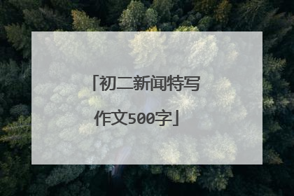 初二新闻特写作文500字